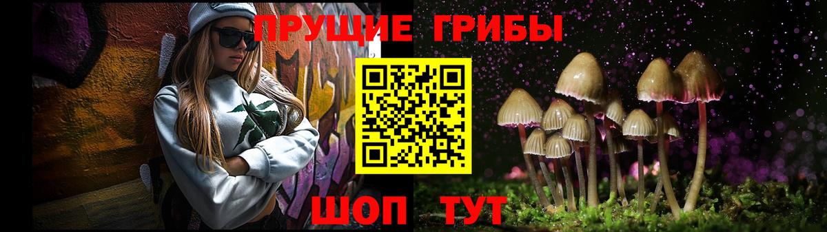 Псилоцибиновые грибы GOLDEN TEACHER Нововоронеж