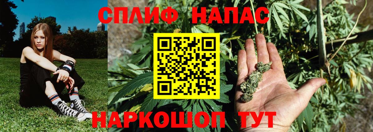 Шишки марихуана сатива  Вход с VPN  МАРИХУАНА OG Kush  Нововоронеж  Марихуана White Widow  Марихуана план 